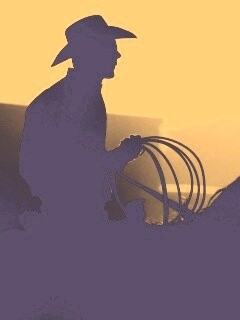 Ковбой с лассо на коне обои