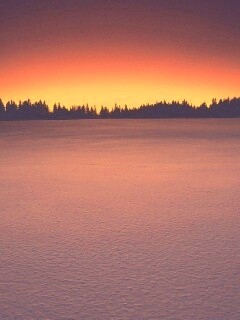 Восход над заснеженным лесом обои