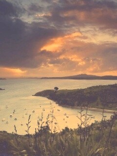 Waiheke Island, New Zealand обои