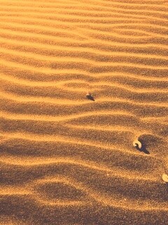 Песок и раковины обои