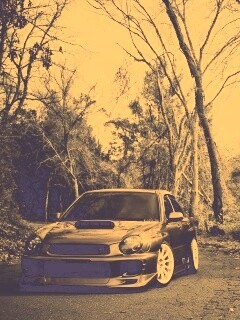 Субару Импреза на лесной дороге обои