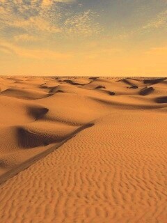 Пустыня до самого горизонта обои