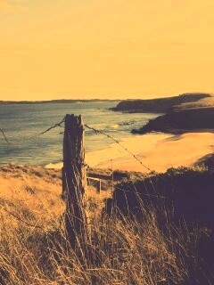 Пляж на озере обои