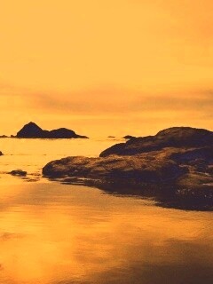 Золотое побережье обои