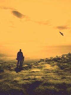 Солдат на краю света обои