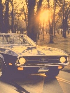 Мустанг обои