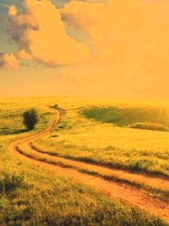 Дорога через луг обои