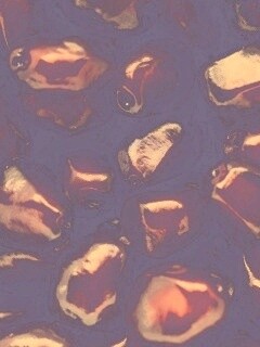 Ядра граната обои