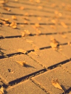 Тротуар обои