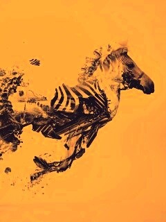 Зебра и бонсай обои