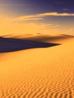 Пустыня Сахара обои