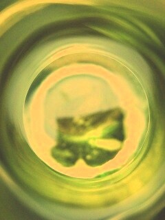 Зеленая бутылка обои