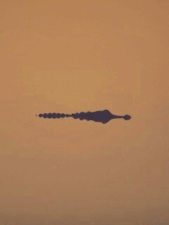 Алигатор обои