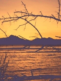 Тропический закат обои