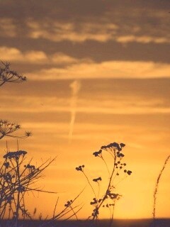 Степной закат обои