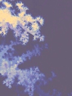 Кораллы обои