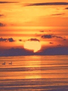 Великолепный рассвет обои