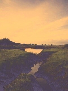 Канава и пруд обои