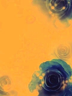 Синие розы обои