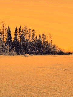 Зимний закат обои