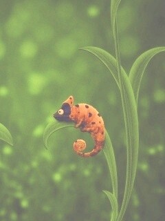 Хамелеон  замаскированный под божью коровку обои