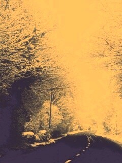 Дорога через зимний лес обои