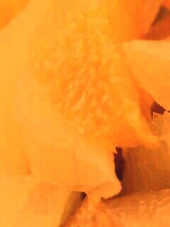 Цитрусовые обои