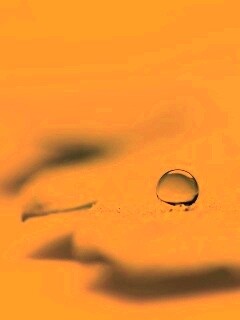 Капля на замёрзжем листе обои