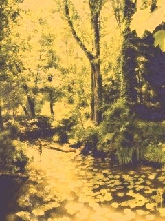 Пруд в лесу обои