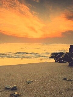 Красивый пляж обои