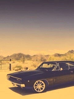 Мускулкар под палящим солнцем обои