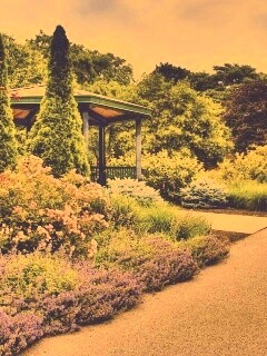 Ландшафтный дизайн обои