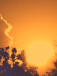 Планер обои