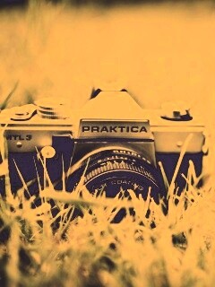 Фотоаппарат Praktica в траве обои