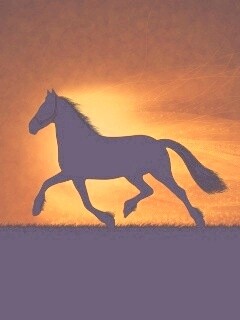 Силует коня на закате обои