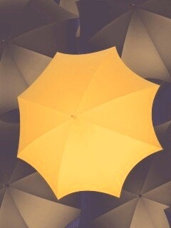 Жёлтый среди чёрных обои