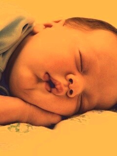 Спящая прелесть обои