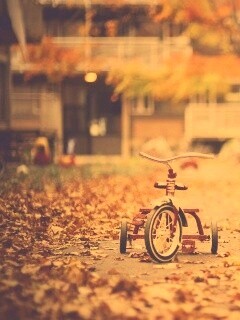 Трёхколёсный друг на осенней дорожке обои