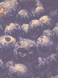 Свежая черника обои