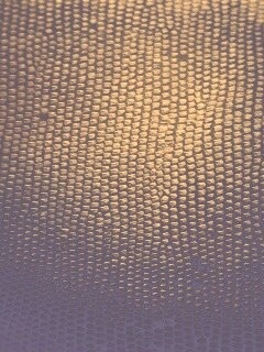 Чешуйчатые обои обои