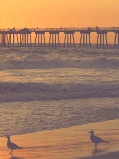 Морская терасса обои