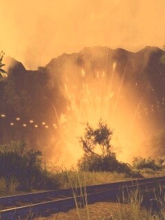 Взрыв в кустах обои