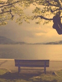 Скамейка на берегу обои