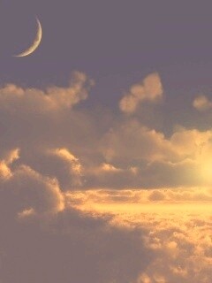 Над облаками обои