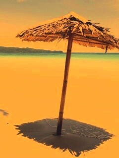 Тросниковый зонт обои