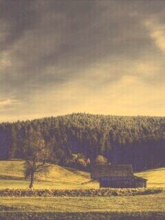 Домик в поле обои