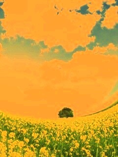 Искаженный мир обои