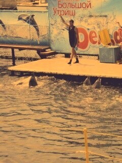 Утро в дельфинарии обои