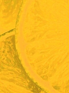 Дольки лайма обои