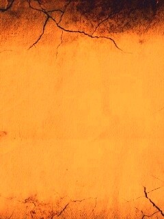 Обезвоживание обои